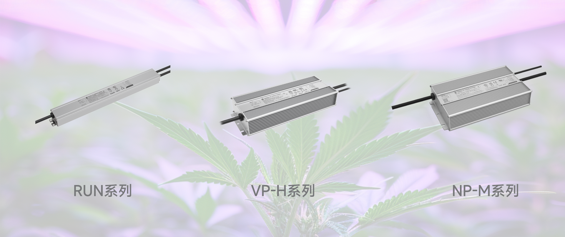 一定发(中国区)官方网站
