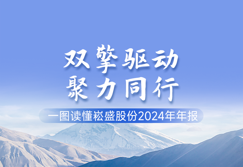 一图读懂 ▏一定发股份2024年年报